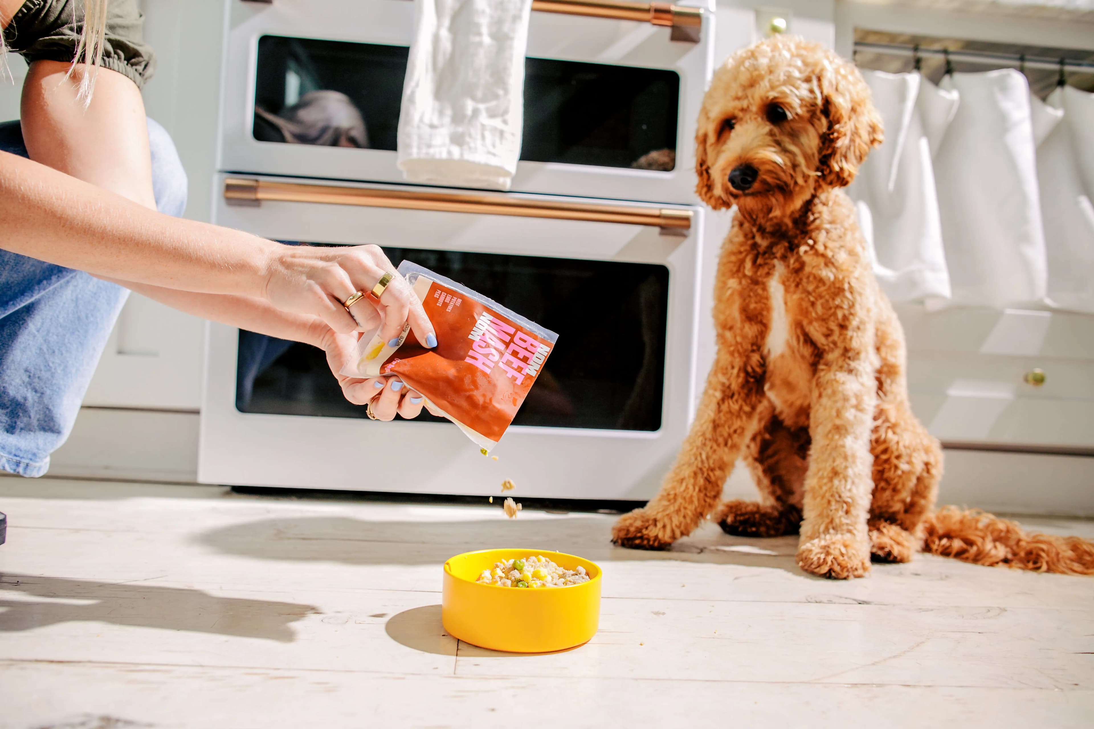Online Pet Food Delivery Services: Finding the Right Pet Food Options and Delivery Setup