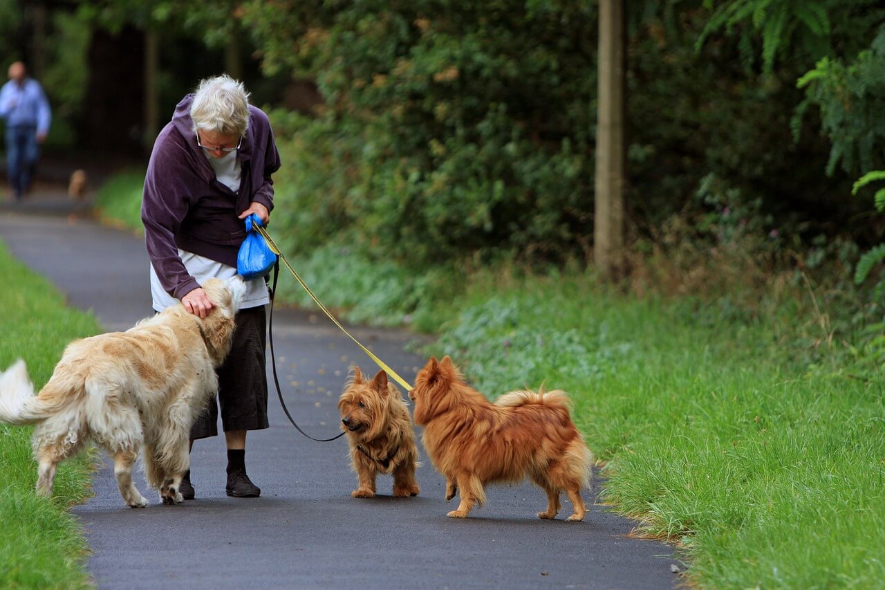 Part-Time Jobs for Retirees: Flexible Work After Retirement