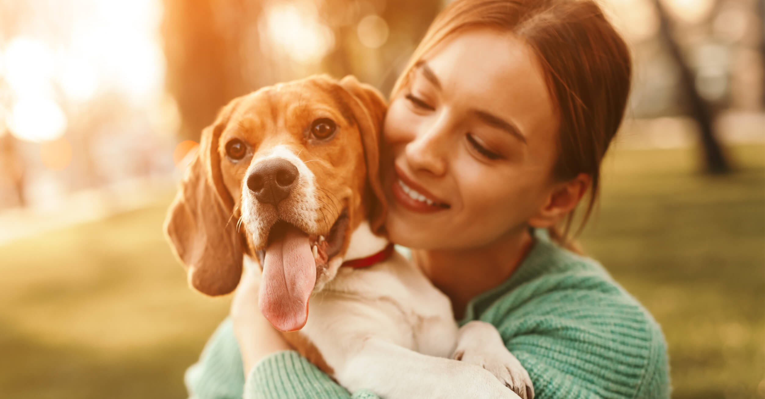 Best Pet Insurance for Older Dogs in the U.S. (2025)