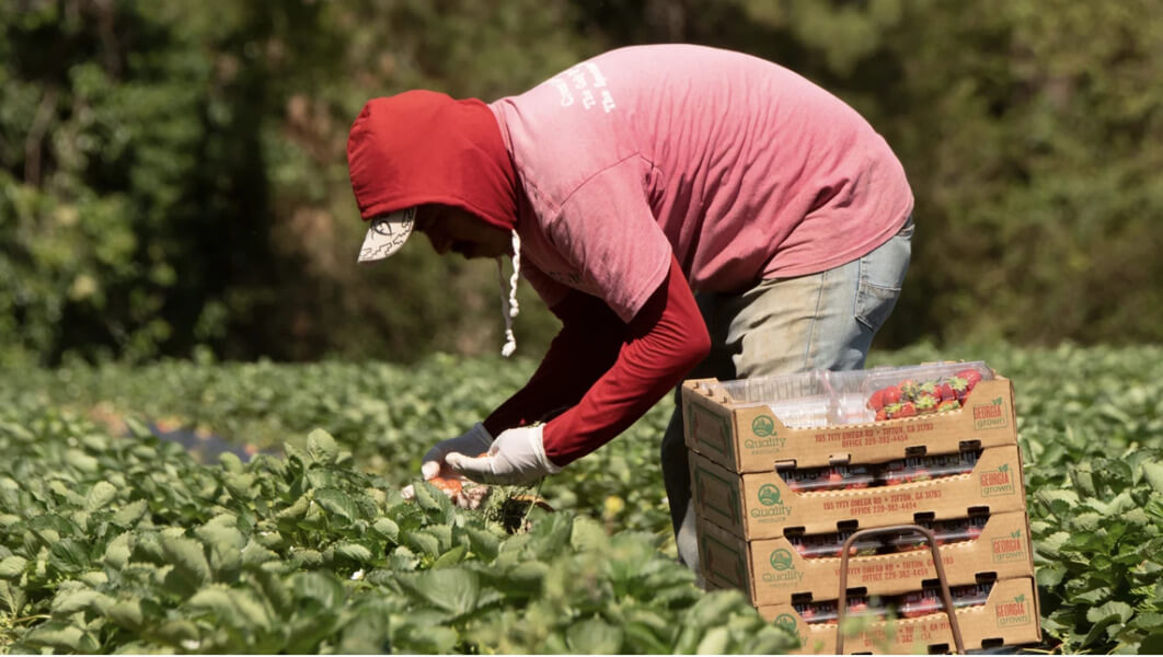 10 Types of Farm Jobs You Can Do in the USA (2026 Guide)